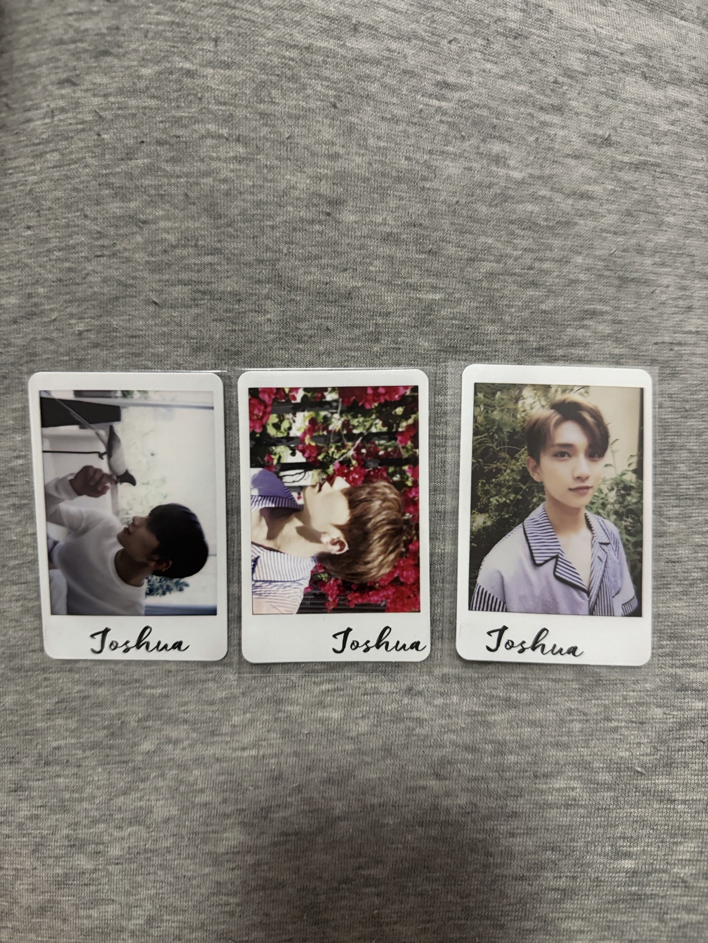 MINI4三版專卡 秀