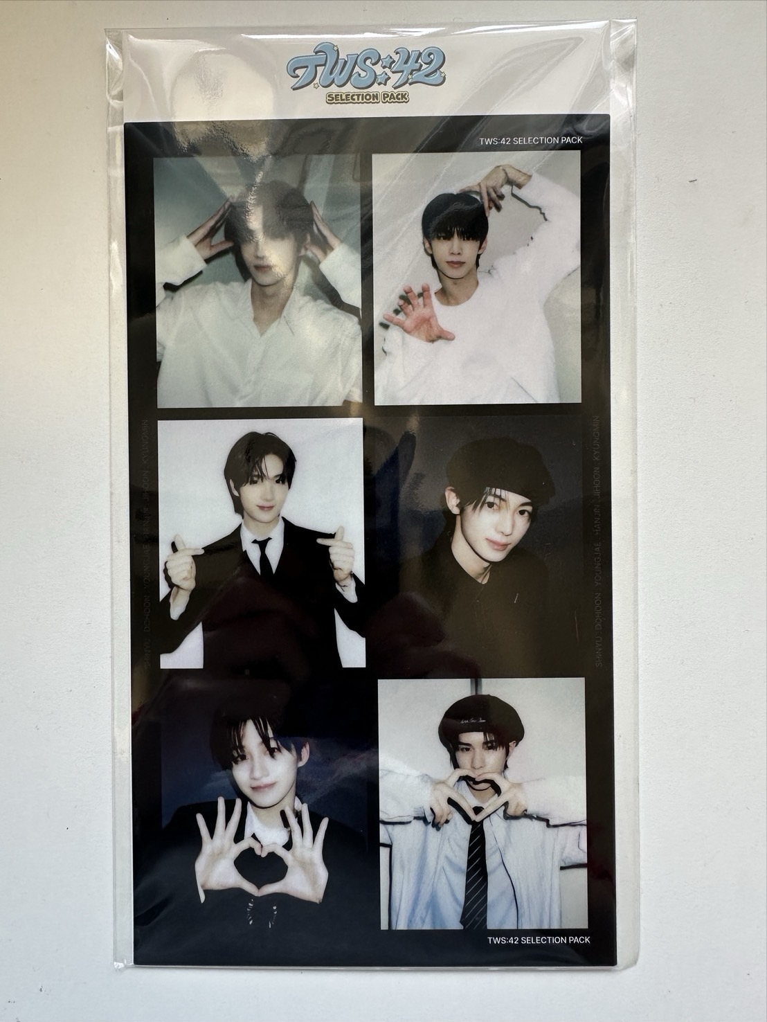 回憶錄 wvs 特典