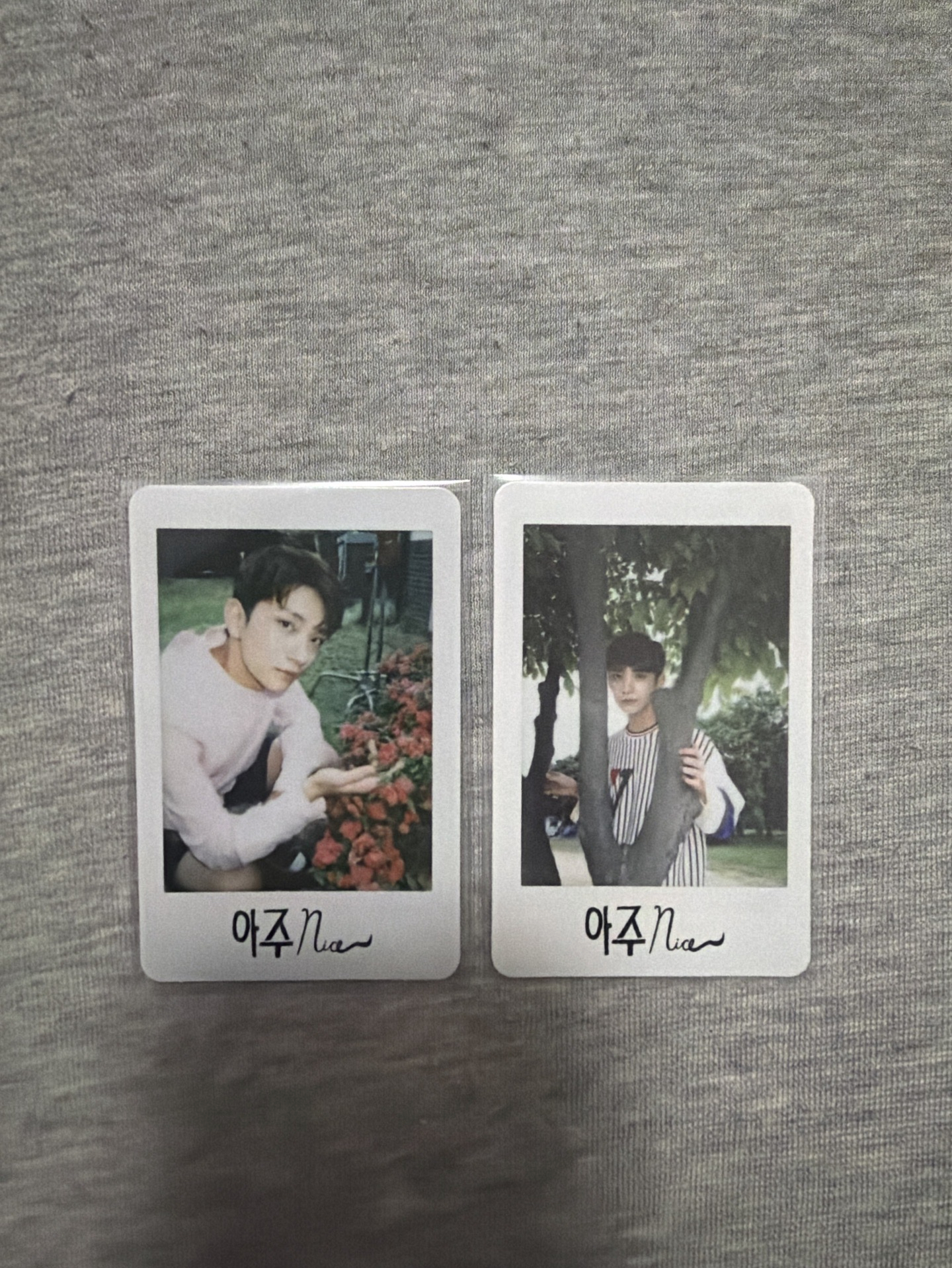 正一後續專卡 秀