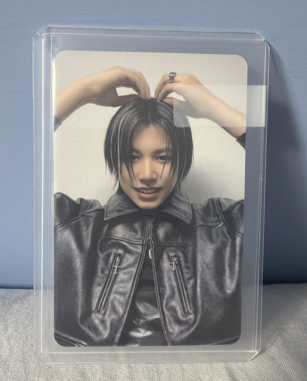 MR線下 林路易蝴蝶結