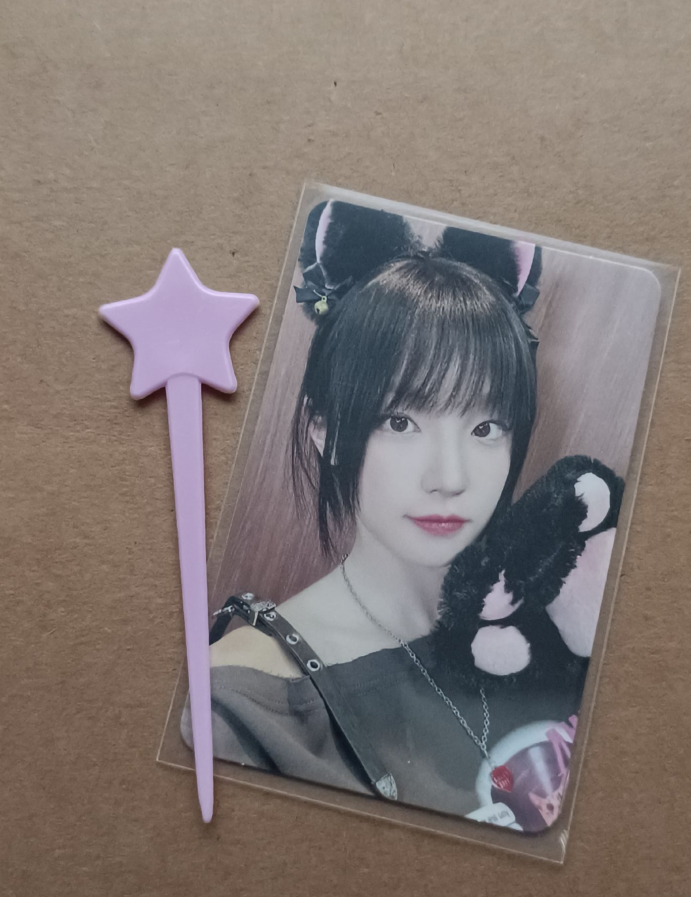 現貨 | ms15.0 貓爪琦