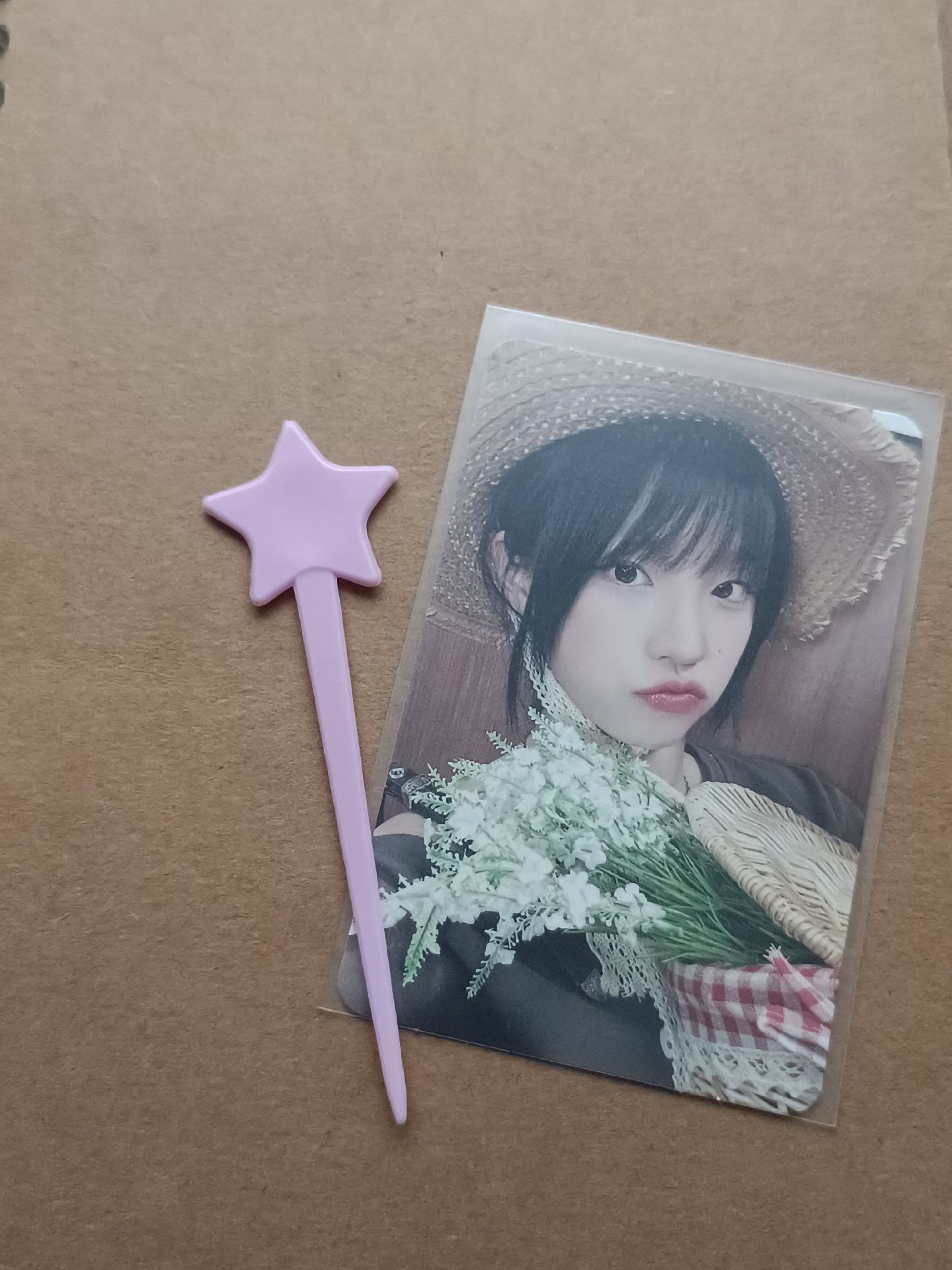 現貨 | ms15.0 野餐琦