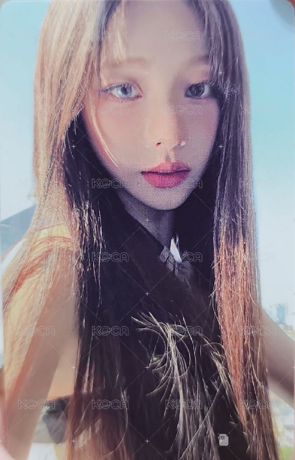 回憶錄 演唱會 DVD / CD 卡 藍光柚