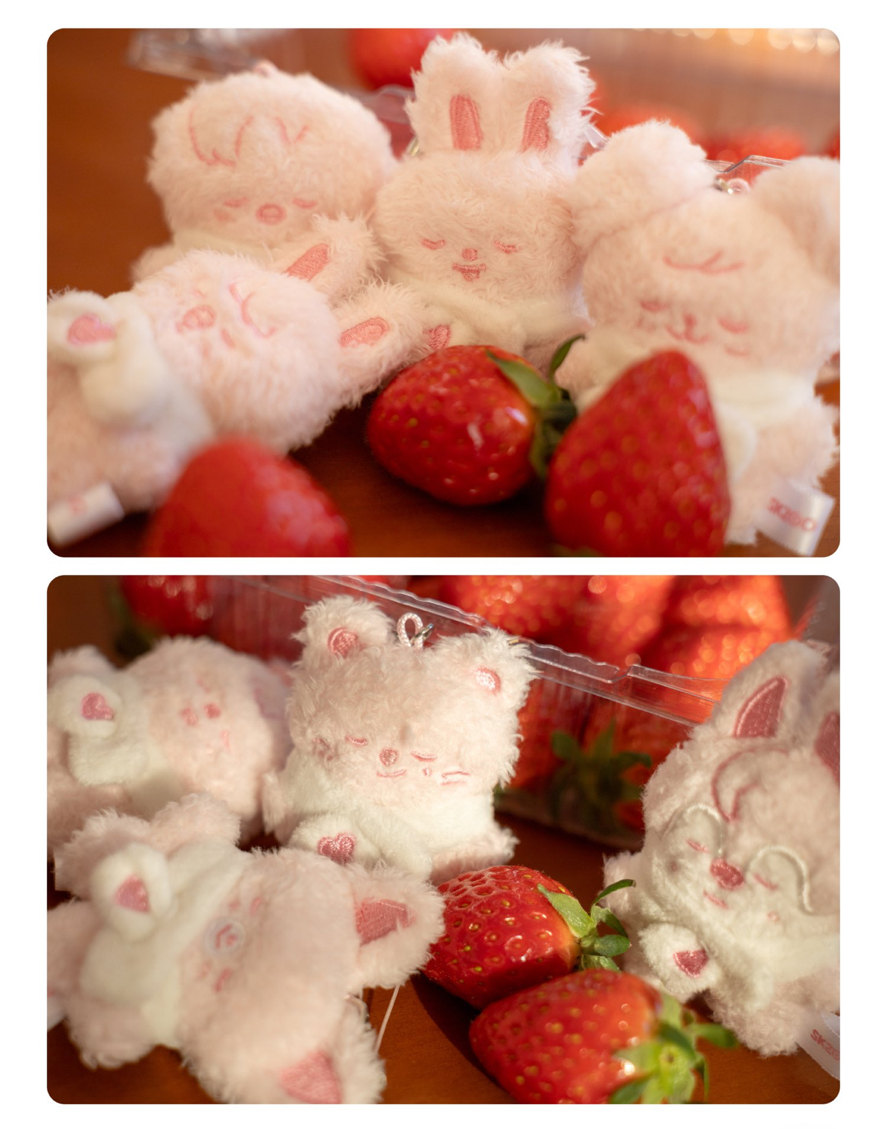 六期 FM 潦草 優先購