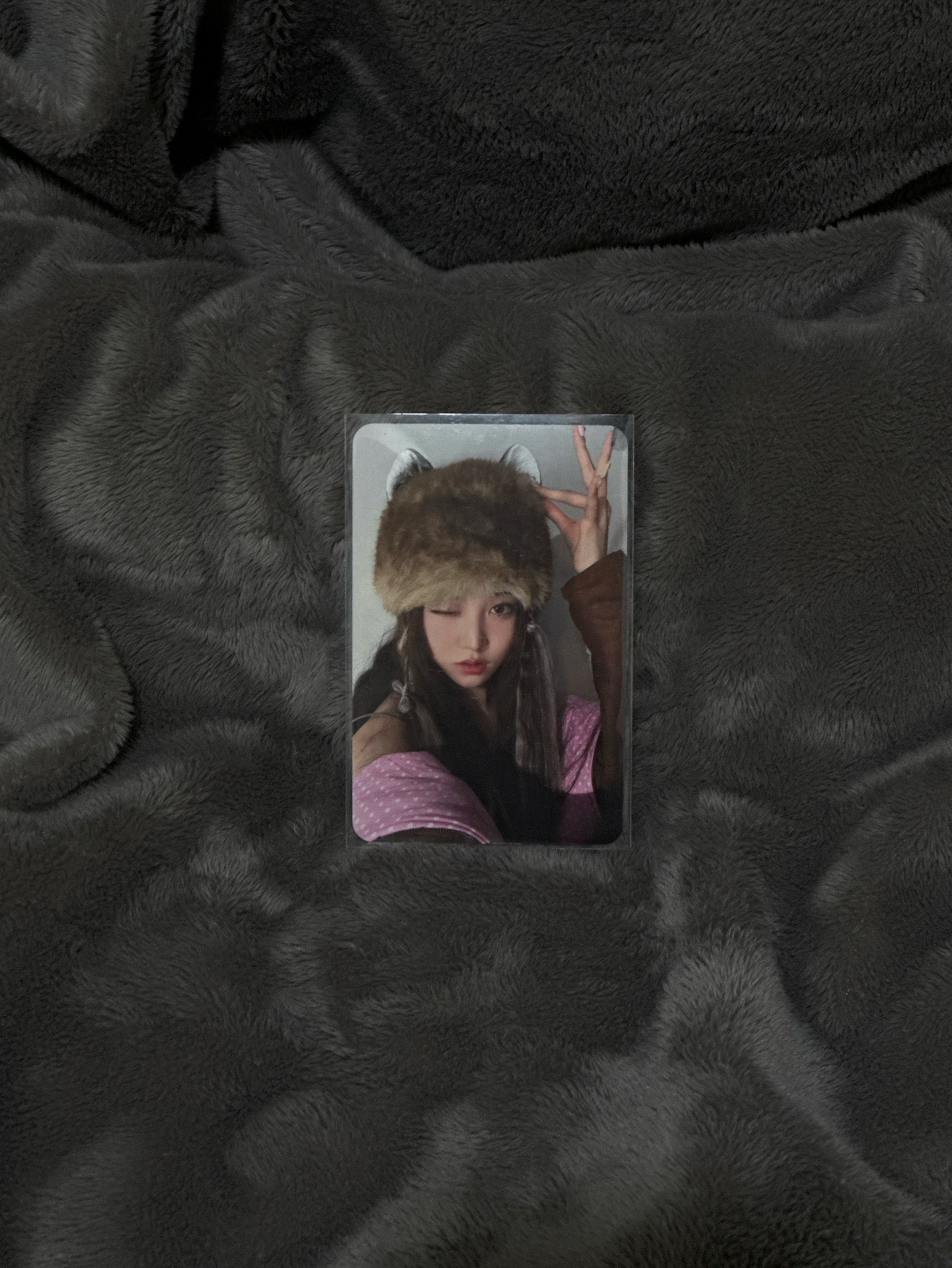 迷一 wm 預售 特典卡 