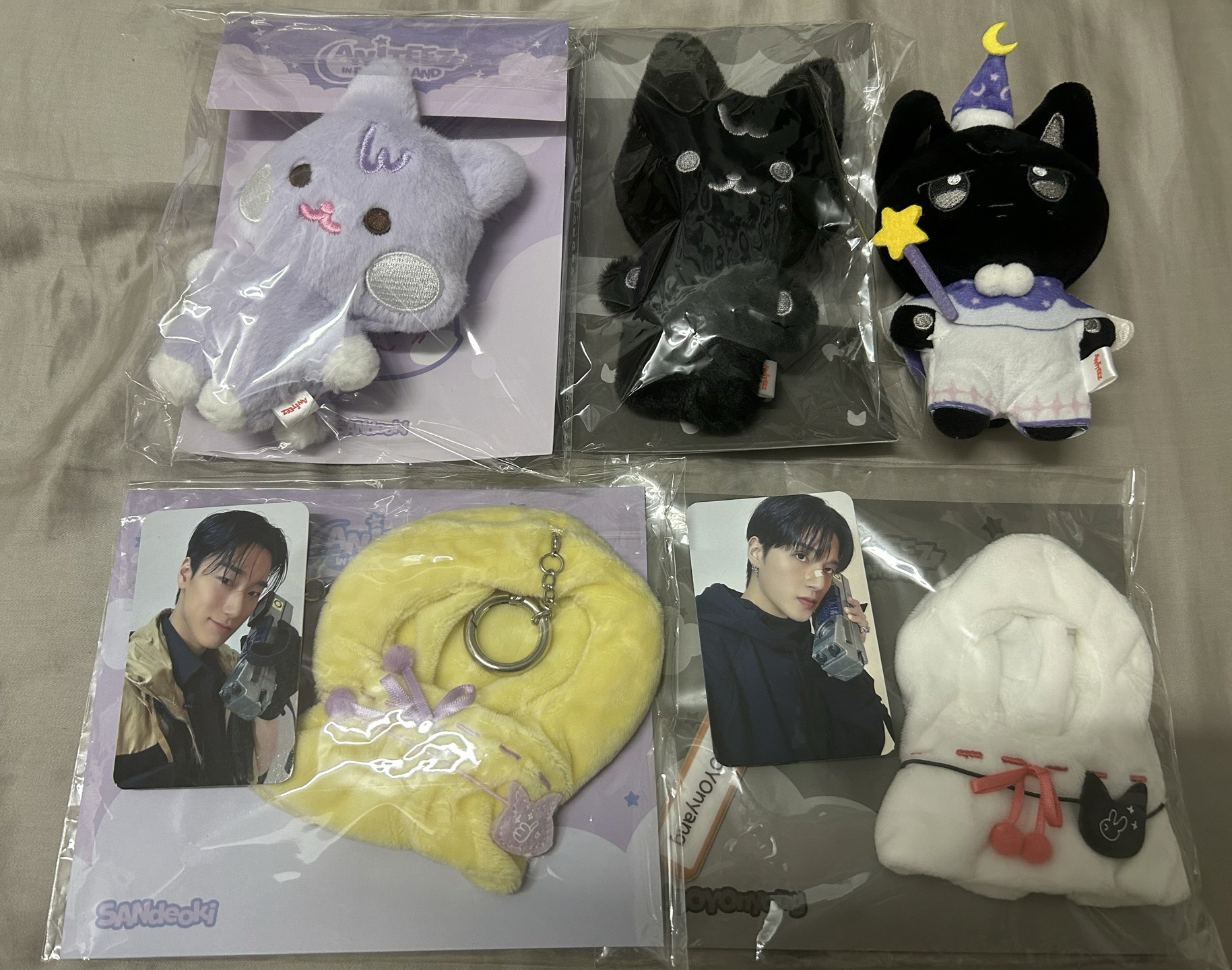 aniteez in dreamland 雨傘盤