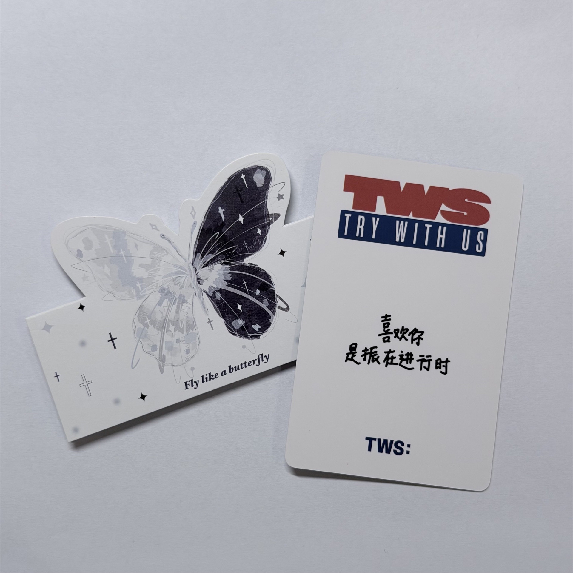 TWS 韓振 yzy 中背 喜歡你 是振在進行時