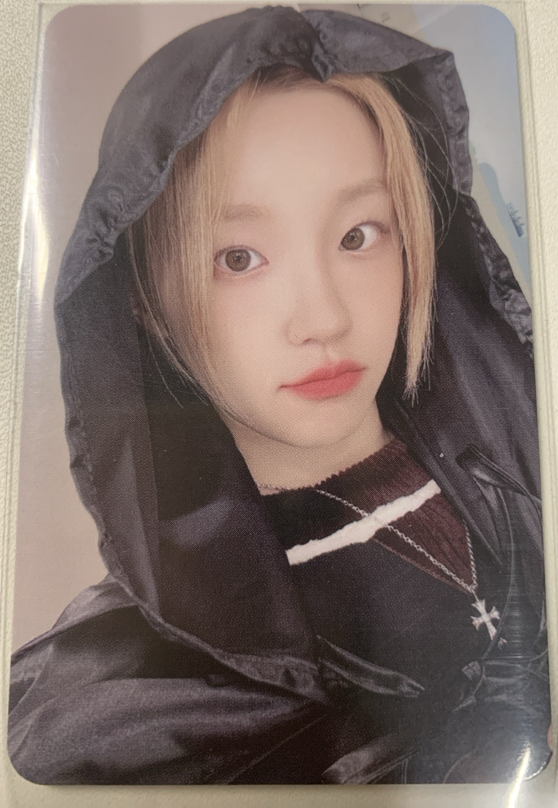 正規二 ms 6.0 簽售卡 