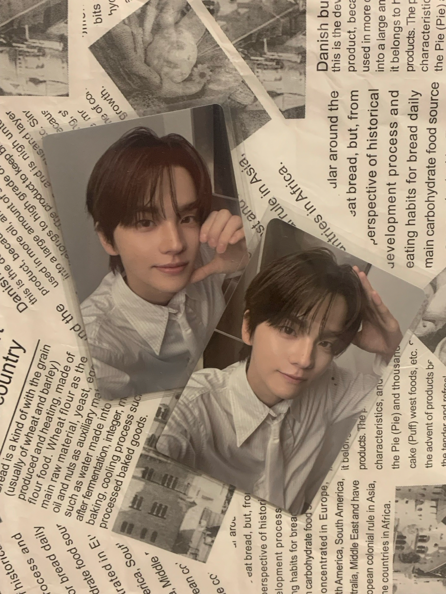 迷你四灰版申惟全專