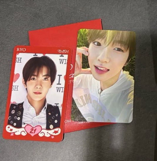 Steady隨機卡包 A ver.