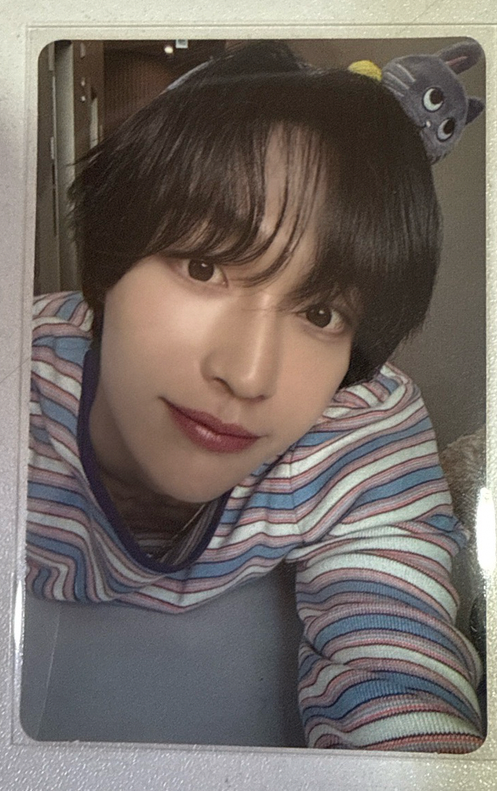 愛寶樂園髮箍彬