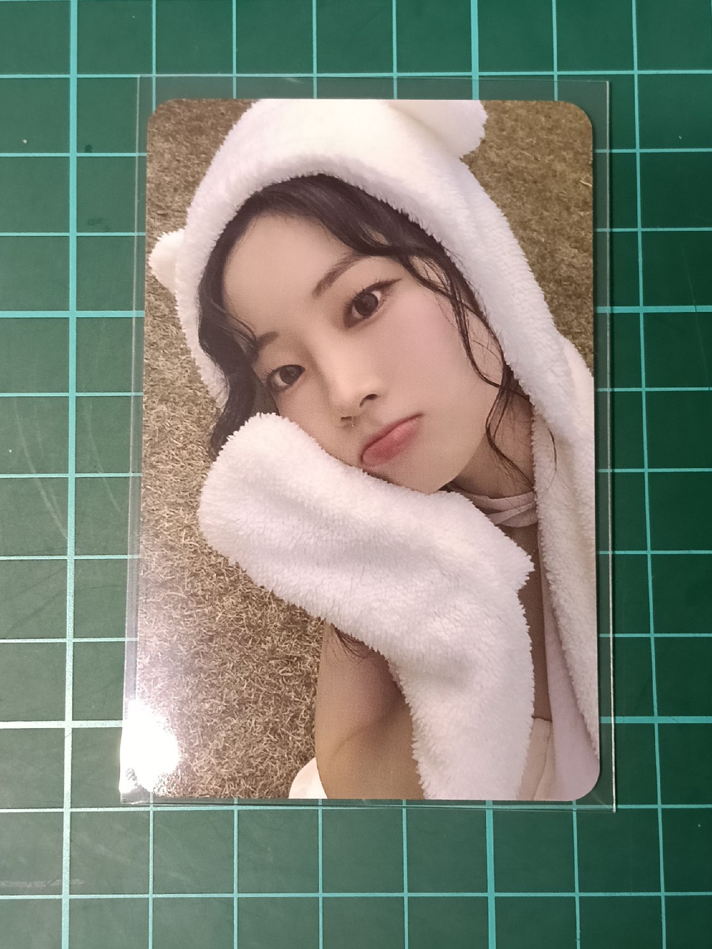 熊帽多🐻‍❄️🦅