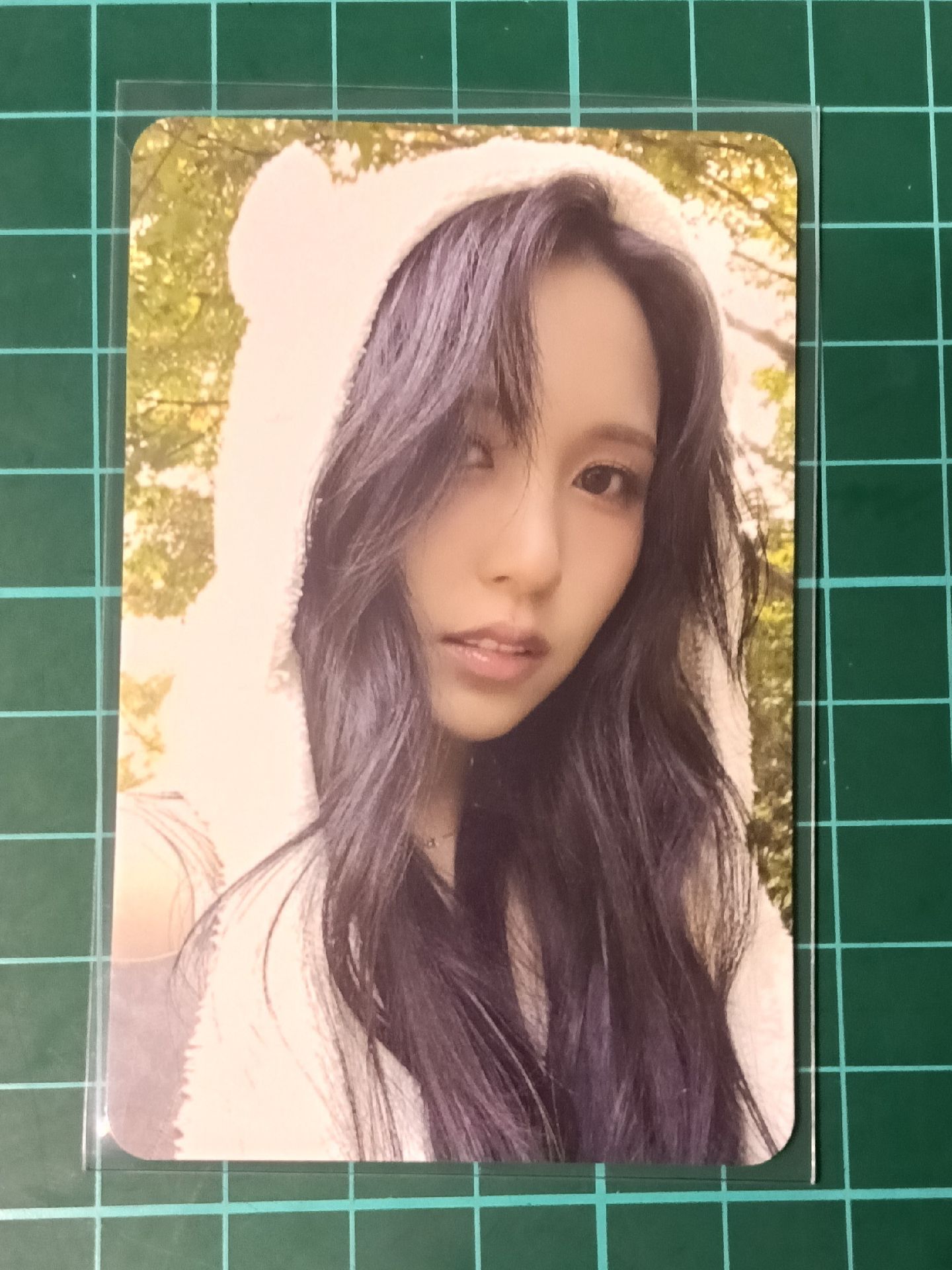 熊帽南🐻‍❄️🐧