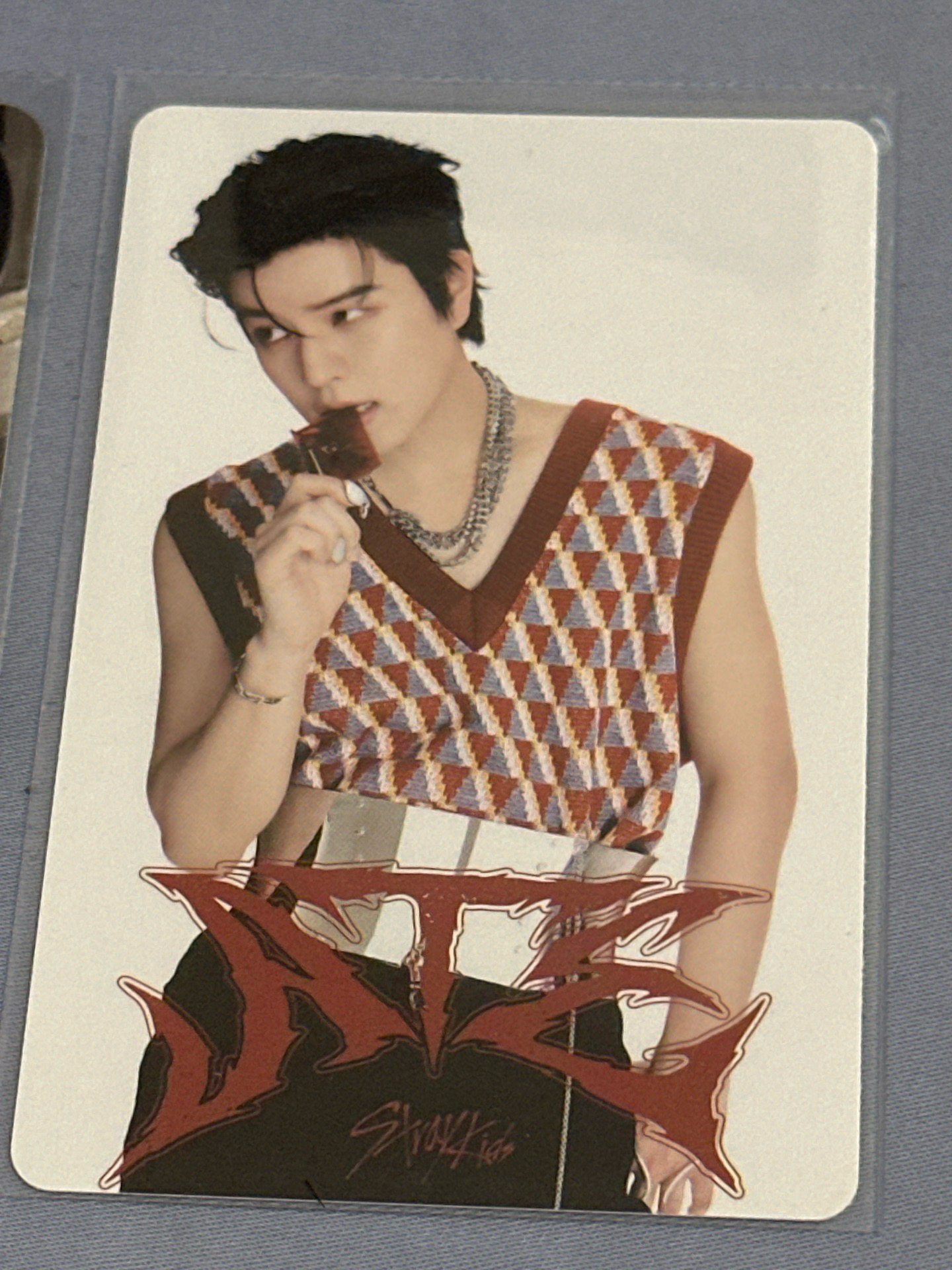 咬什麼咬 小狗可以吃嗎