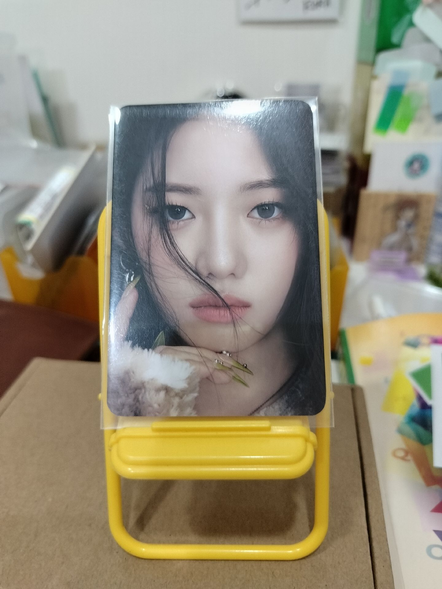 茶迷一共通特典