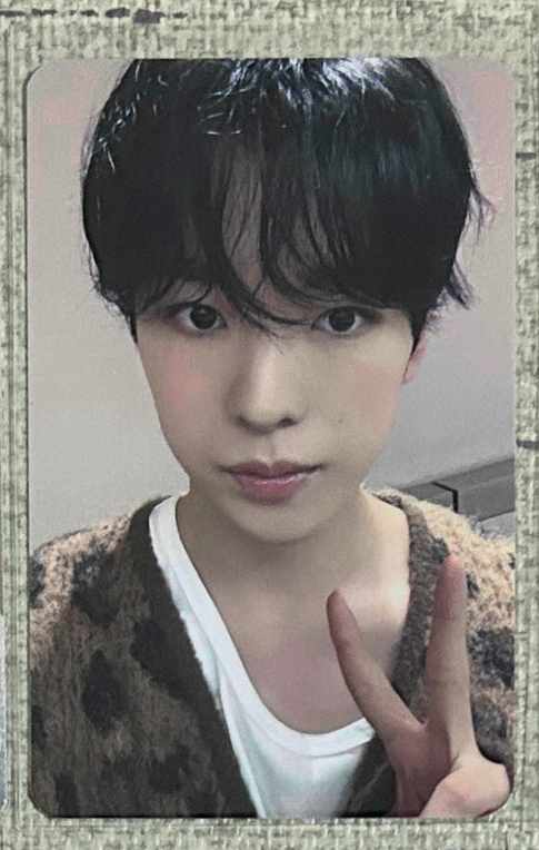 steady itta 簽售卡