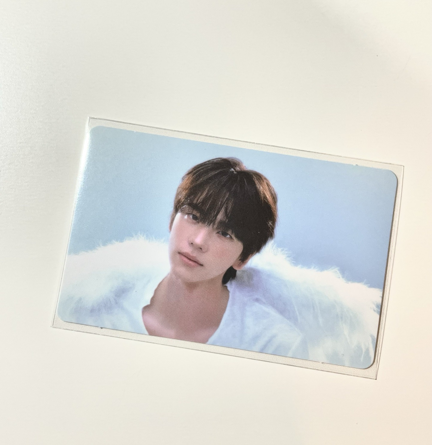 天使申👼🏻🩵