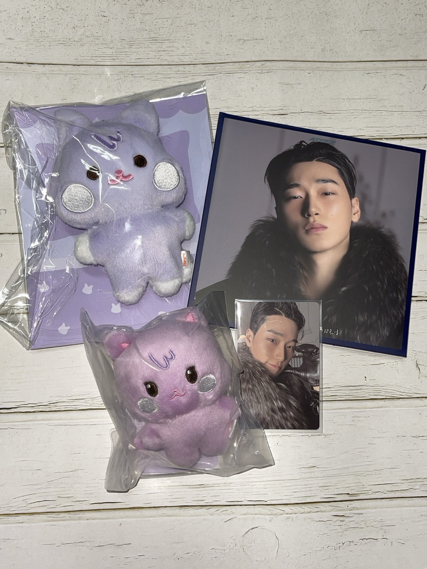 傘小盤（整圖出）