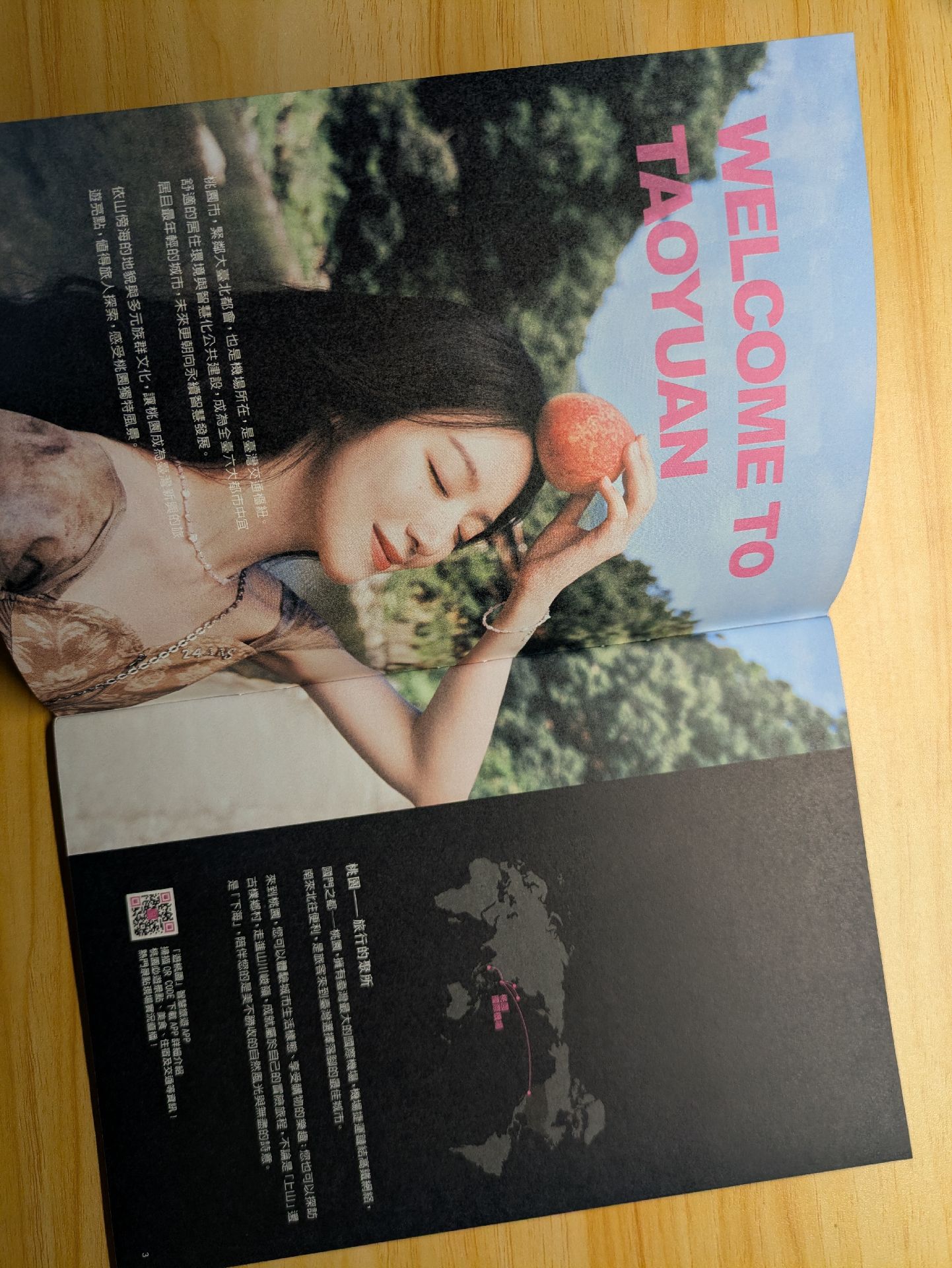 🧊Cube 官咖全新吸管插牌+ 🐺樂桃桃小卡*1 +桃園誌*2