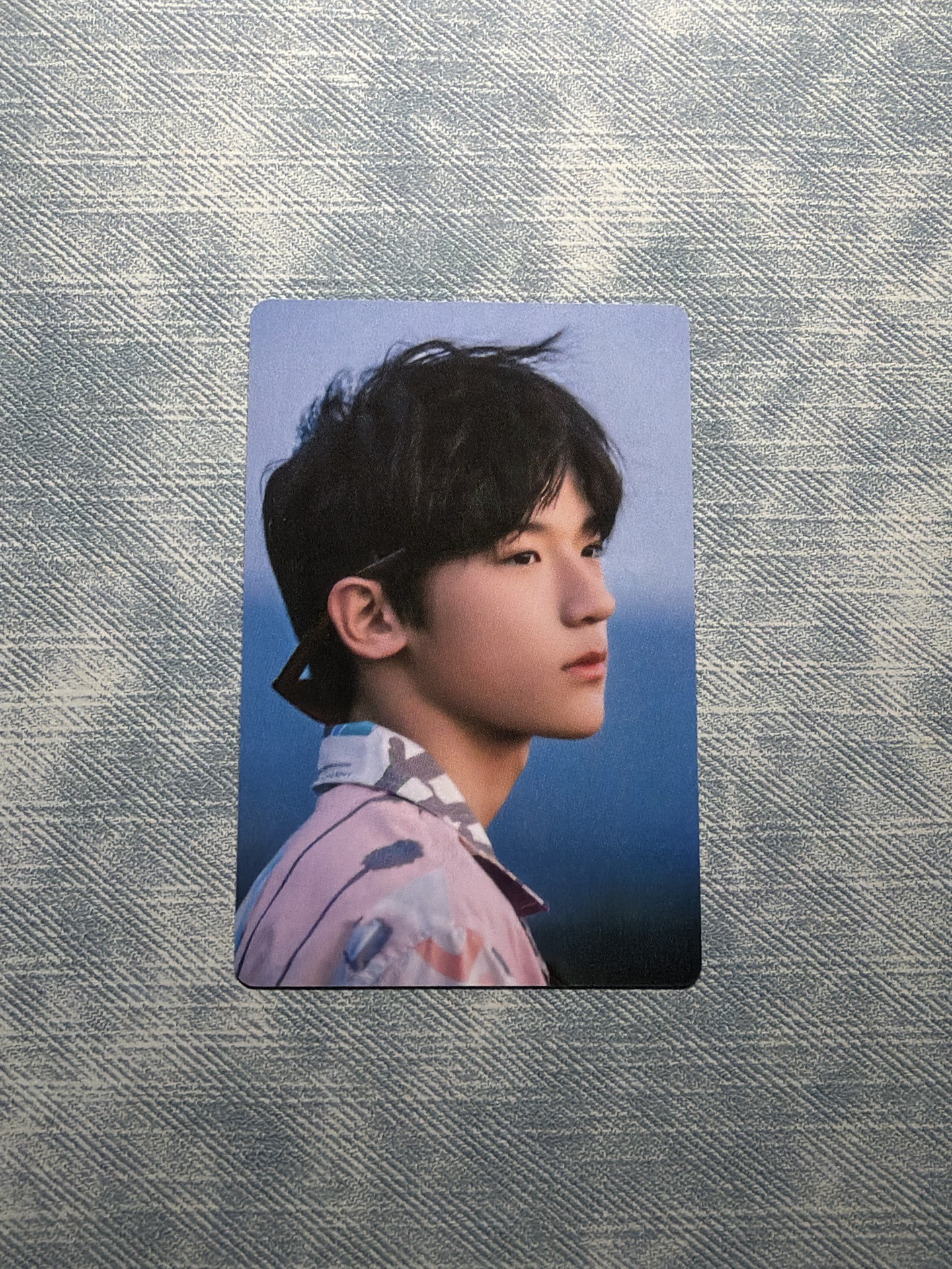 張峻豪 寶藏 1.0