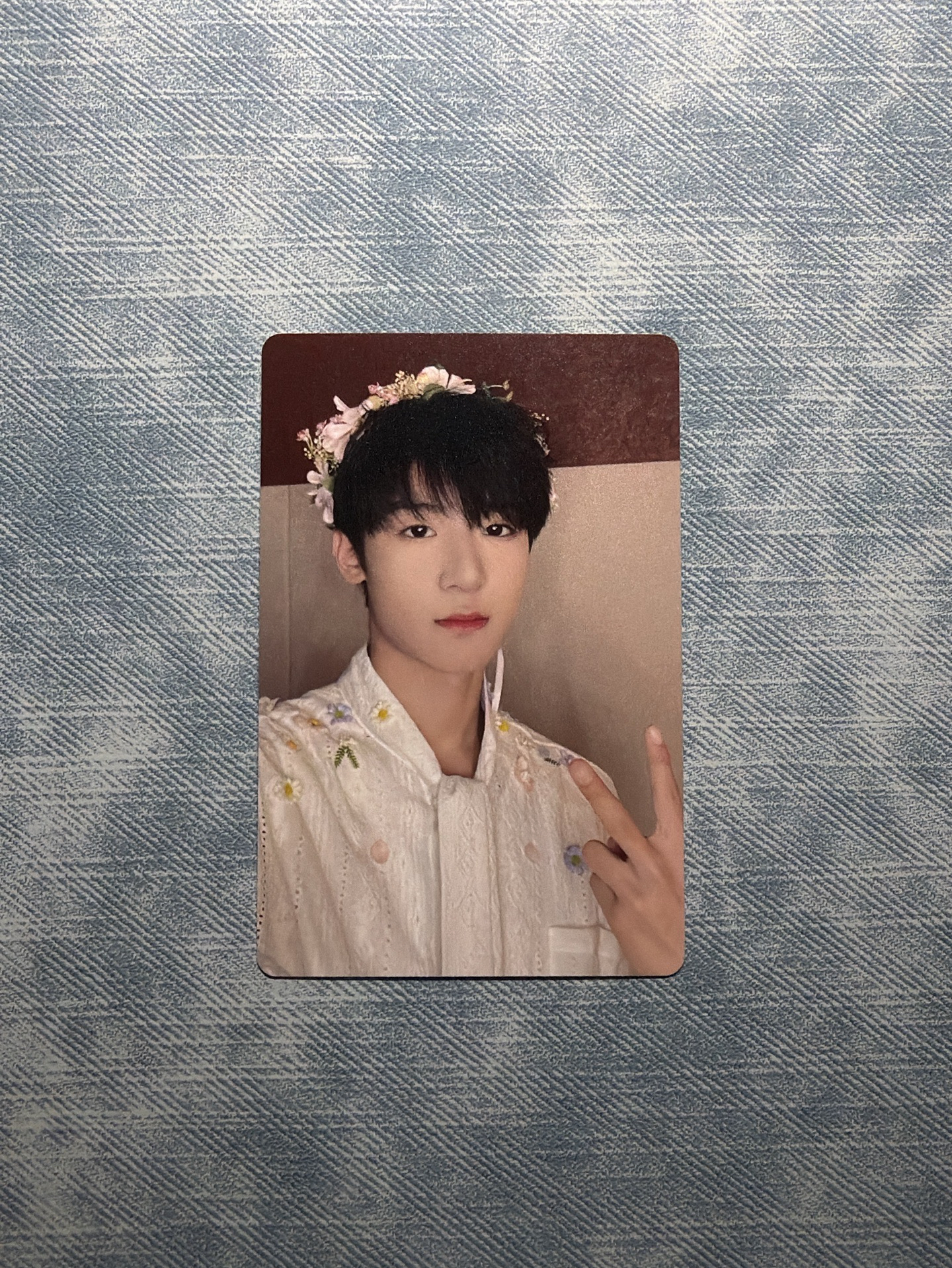 張峻豪 蝴蝶效應 家族卡