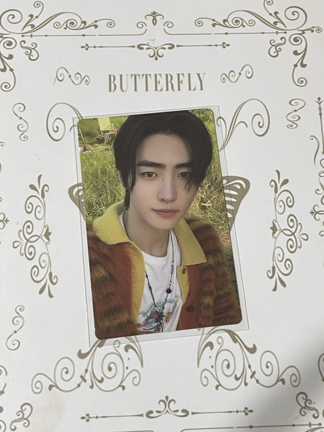 迷五 專卡訓🐰