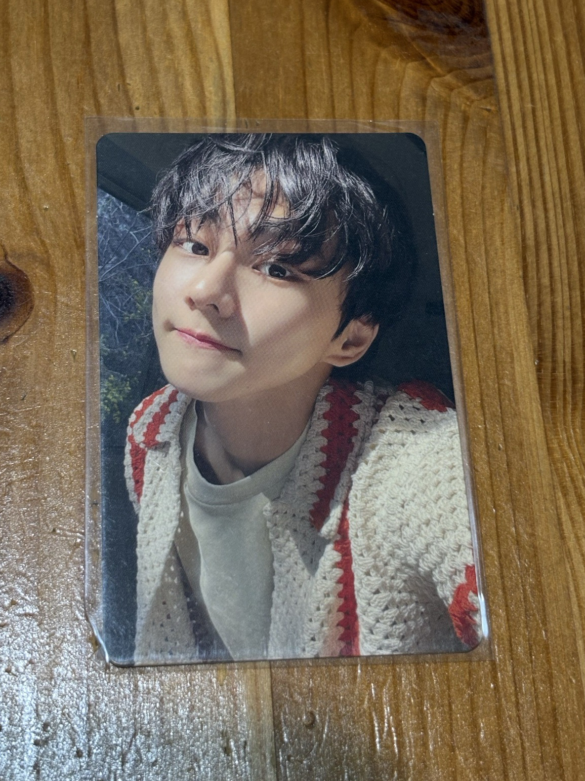 禎元閃光特典卡