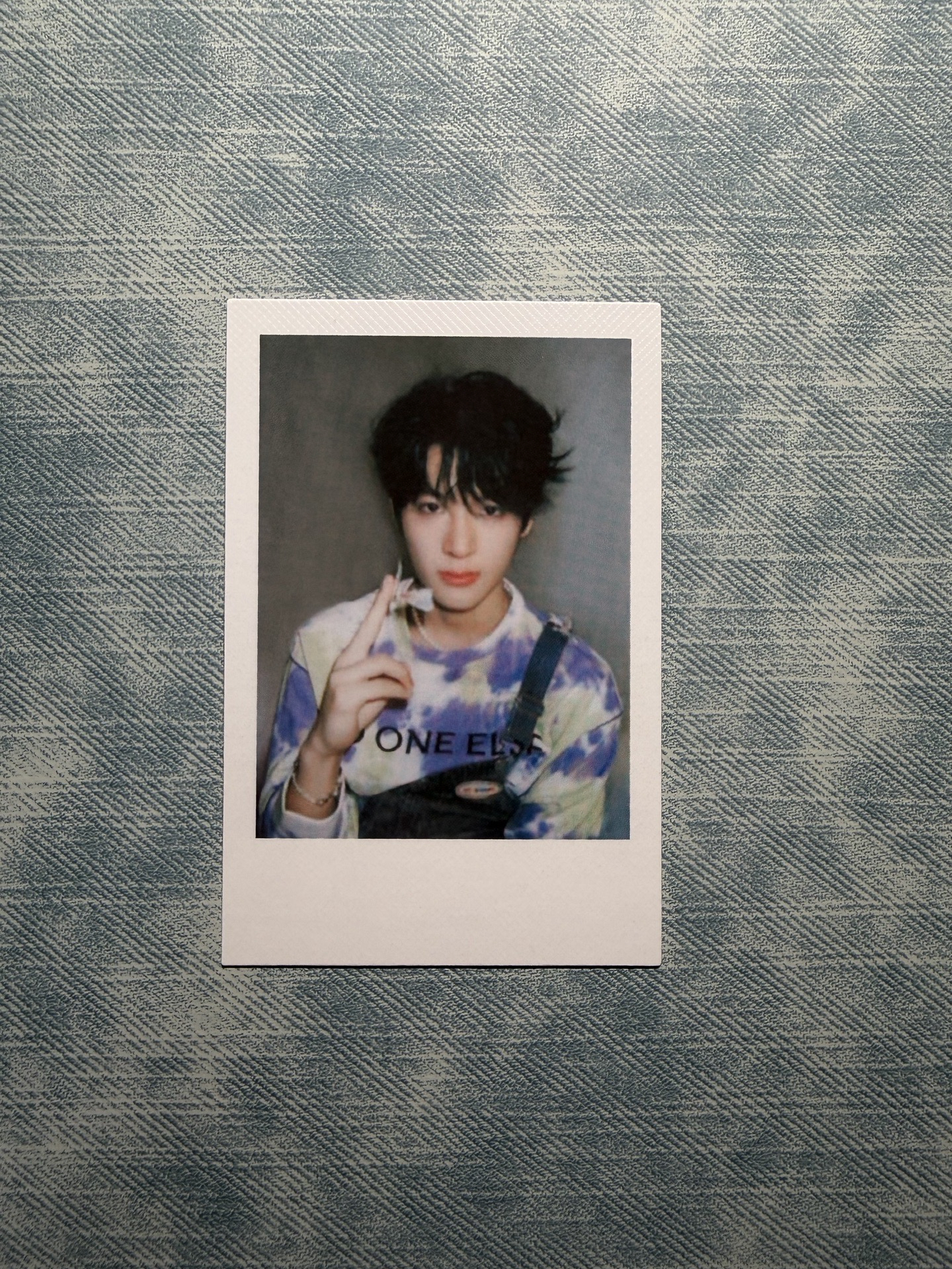 張峻豪 樂遊 蝴蝶拍立得