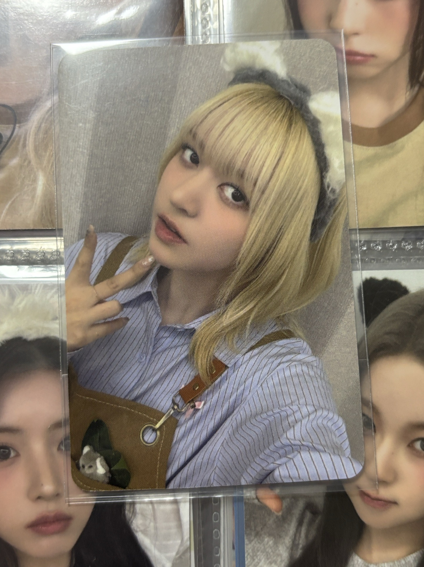 正規一 am 咖啡店 4.0 簽售卡 Zoorista 動物塑