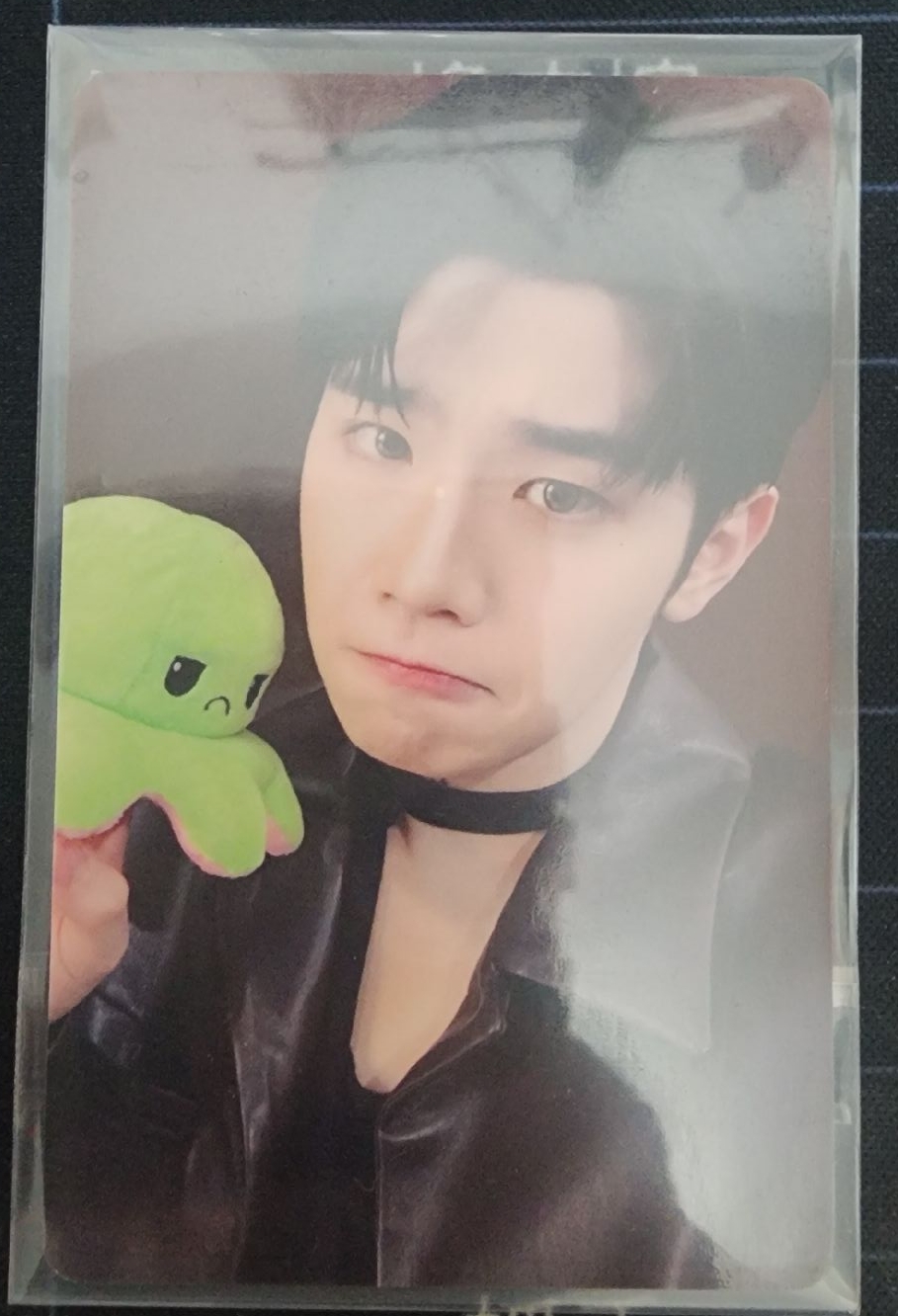 迷你五泰來中背