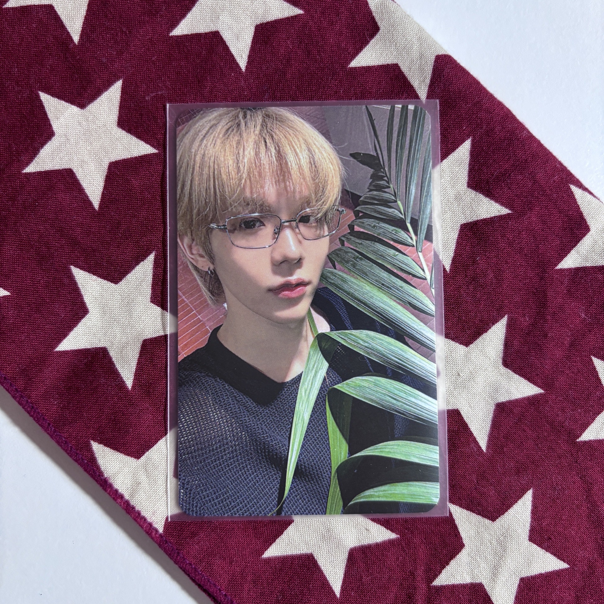 Odyssey lgu簽售 醬 ⋆.˚⊹⁺