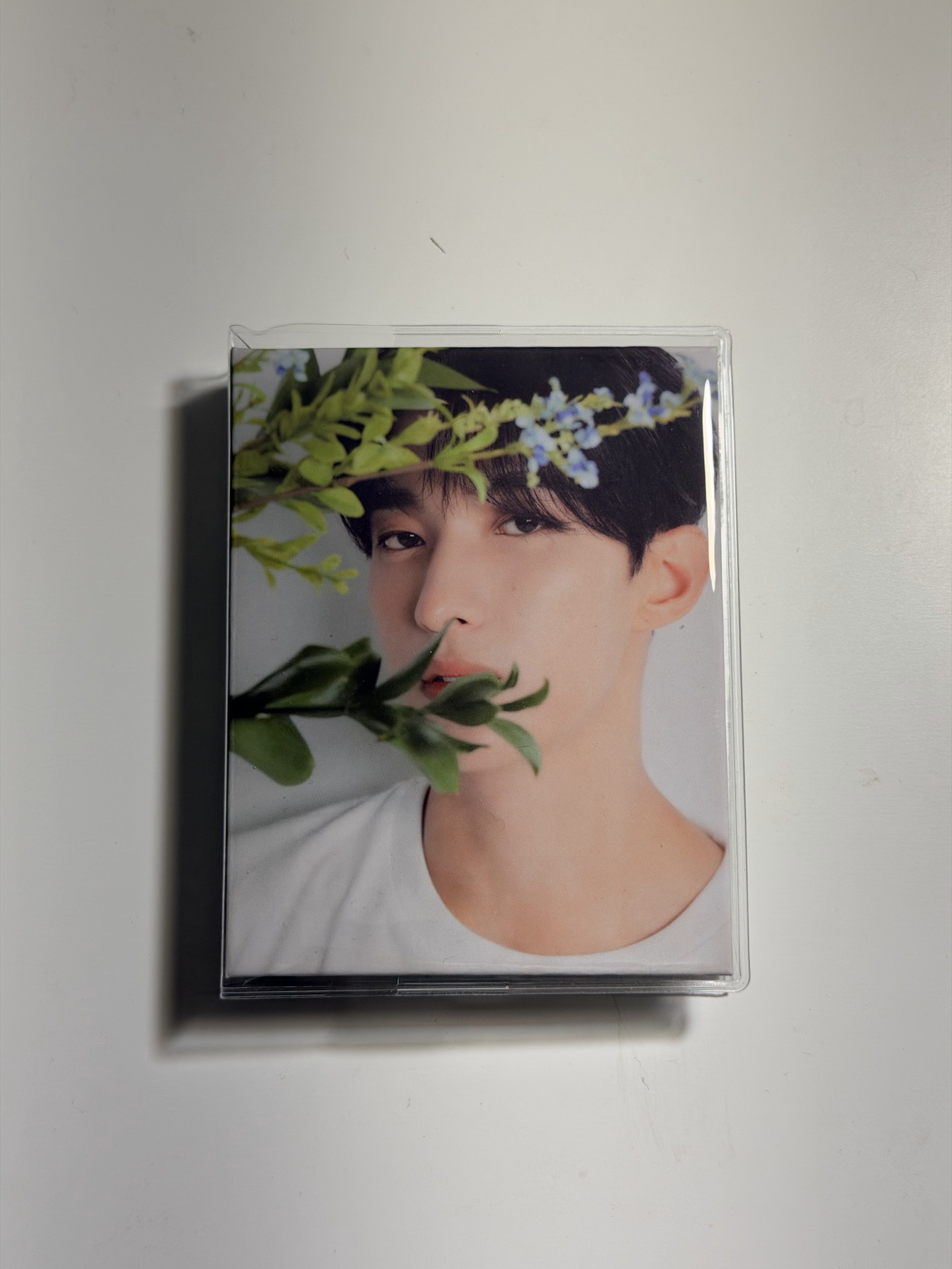 SEVENTEEN THE8 徐明浩  DK 李碩珉 WONWOO 全圓佑 克拉盤