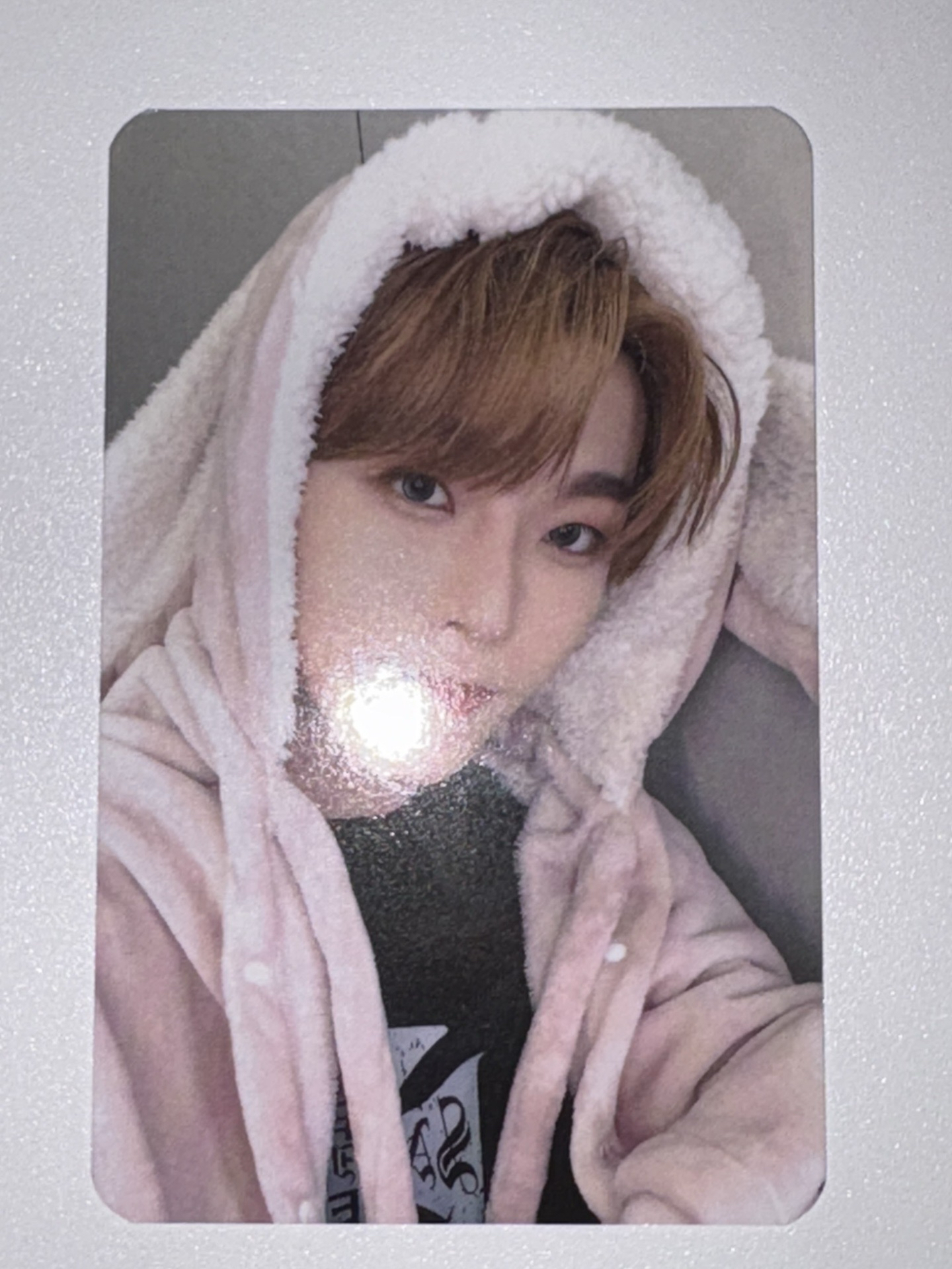 迷一 ms兔子毛毯 特典卡-鑫隆