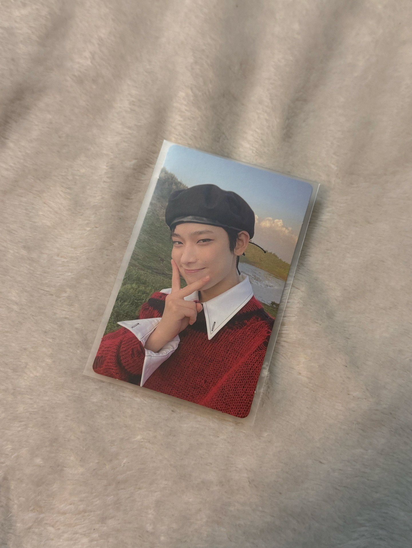 金善禹迷一專輯卡