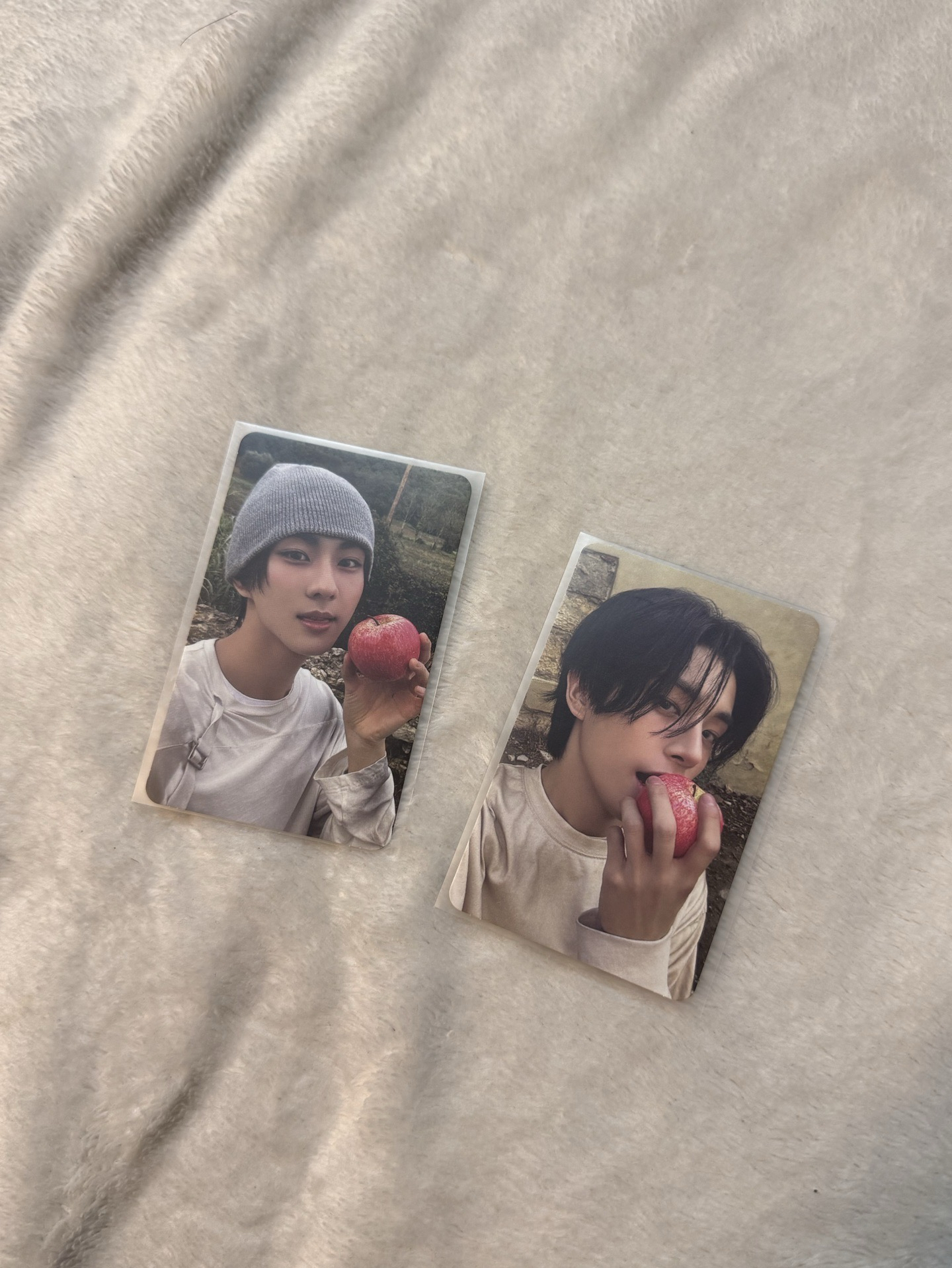 ENHYPEN 迷六單封隨機卡