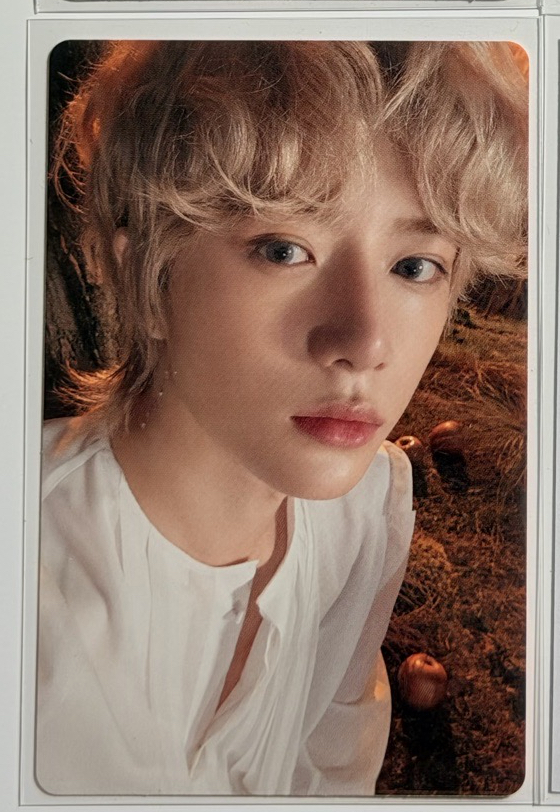 崔杋圭 迷六單封專卡