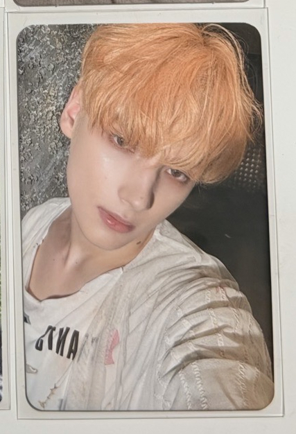 休寧 正三橘髮小卡  