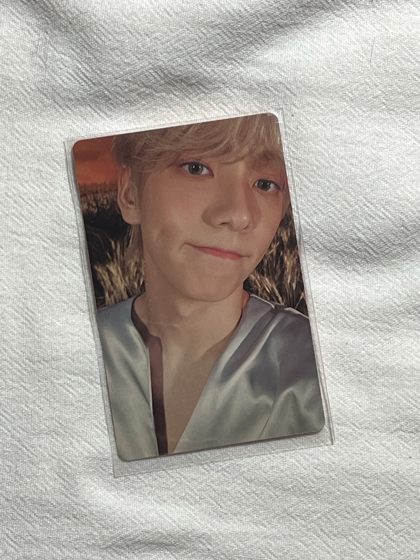 崔薯餅餅餅餅餅