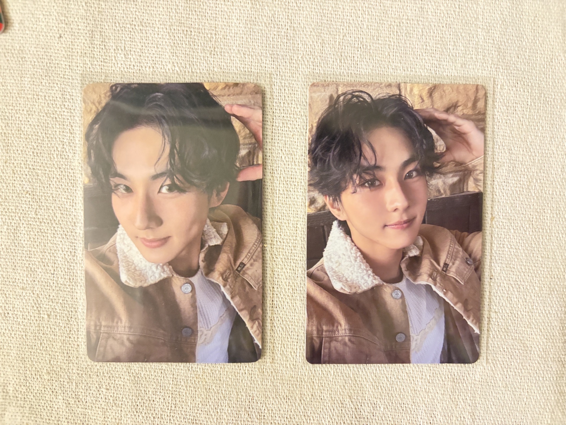 沙漠狗狗耳小蒸