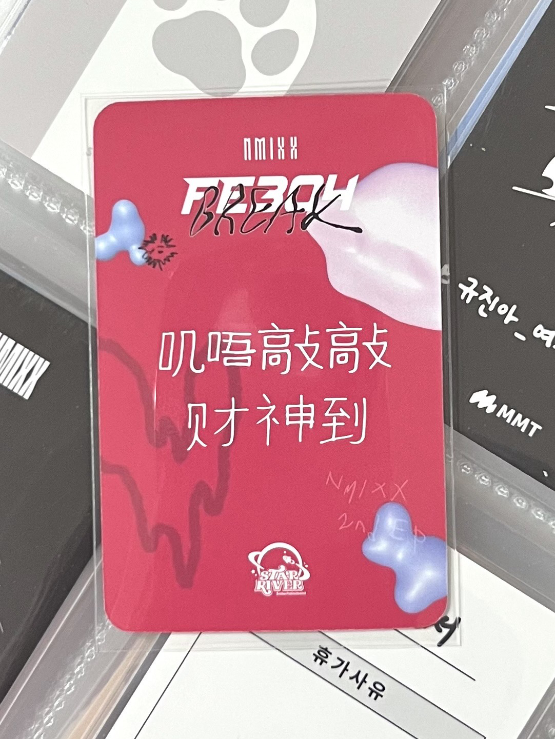 💫 NMIXX 蝴蝶結友 中背