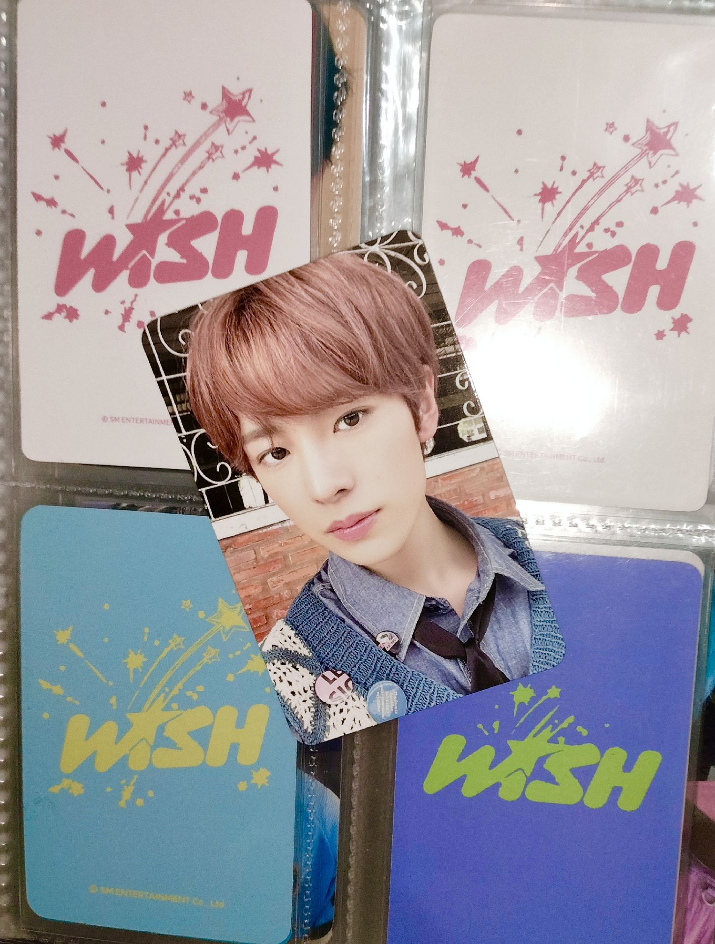 ⭐志卡 冷臉咪😽~