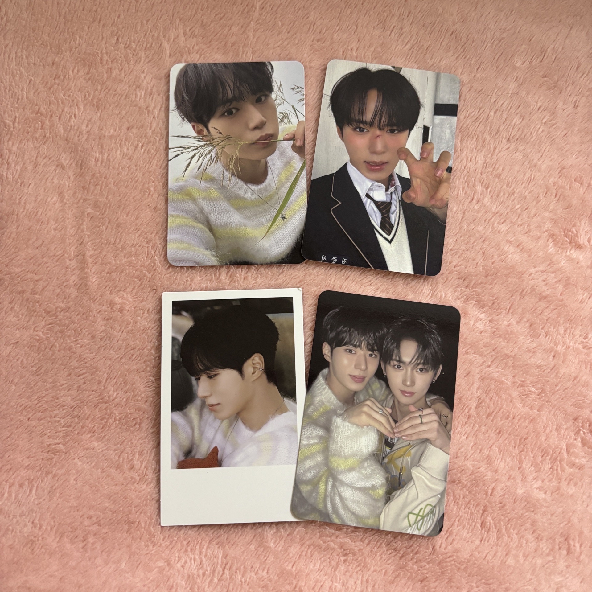 ALD1 俊抒 am 貓爪卡