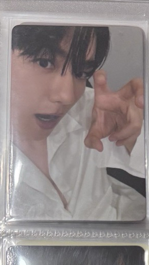 邊伯賢 bolo 專卡