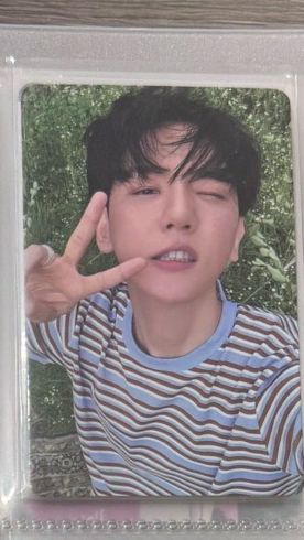 邊伯賢 bolo 專卡