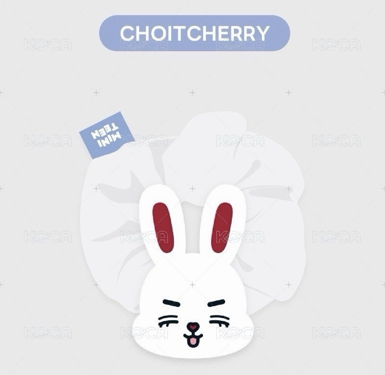 喆 miniteen髮圈 + 24 HOME 卡冊