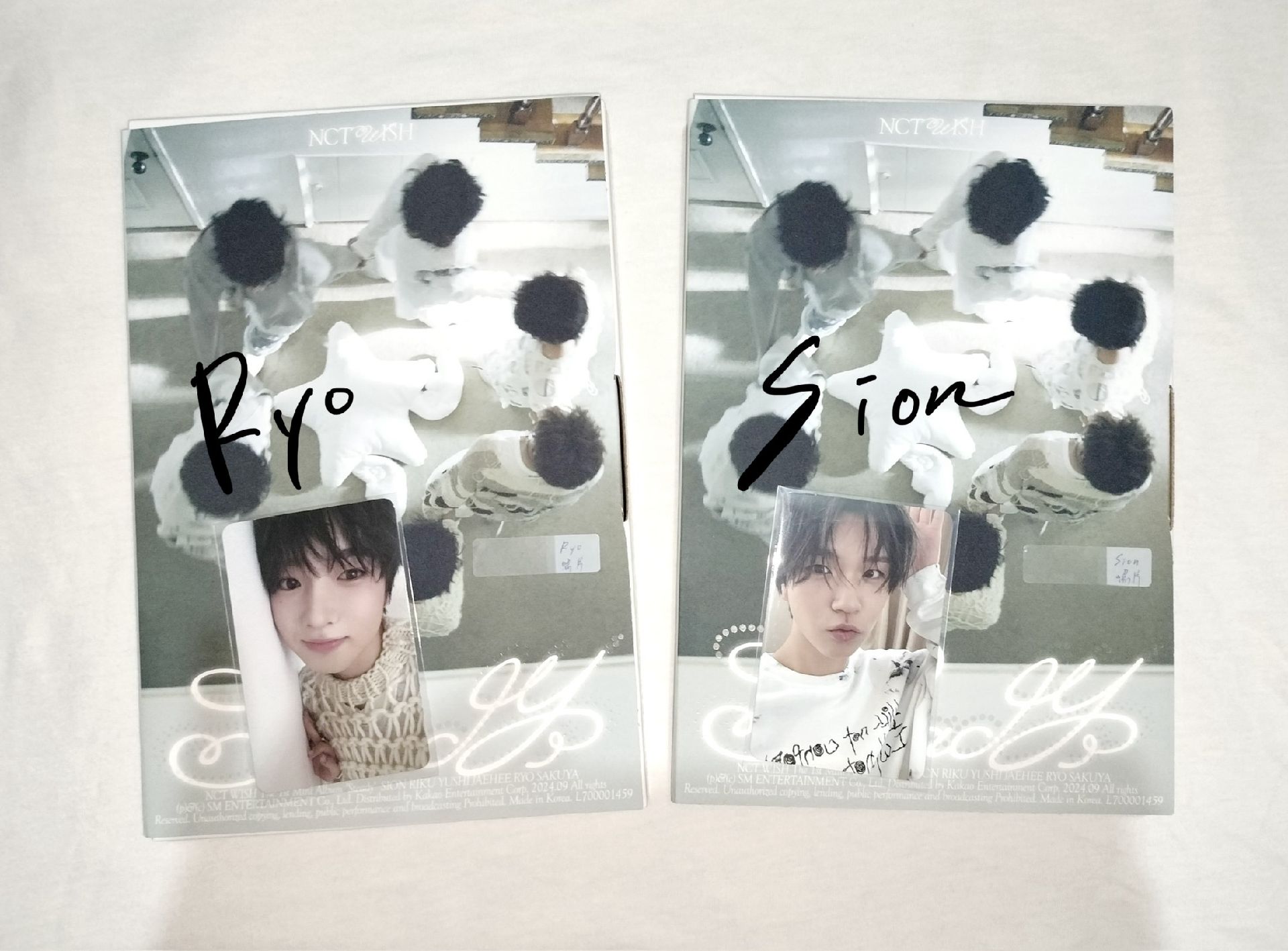 Steady全專 🦭🌷照片(🥐🌳小卡)