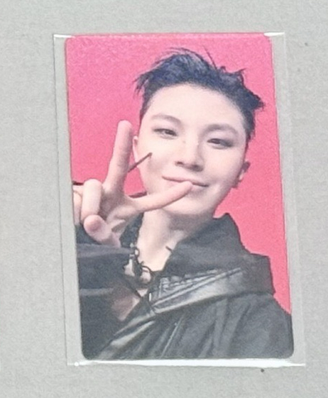 日本正五wvs特典