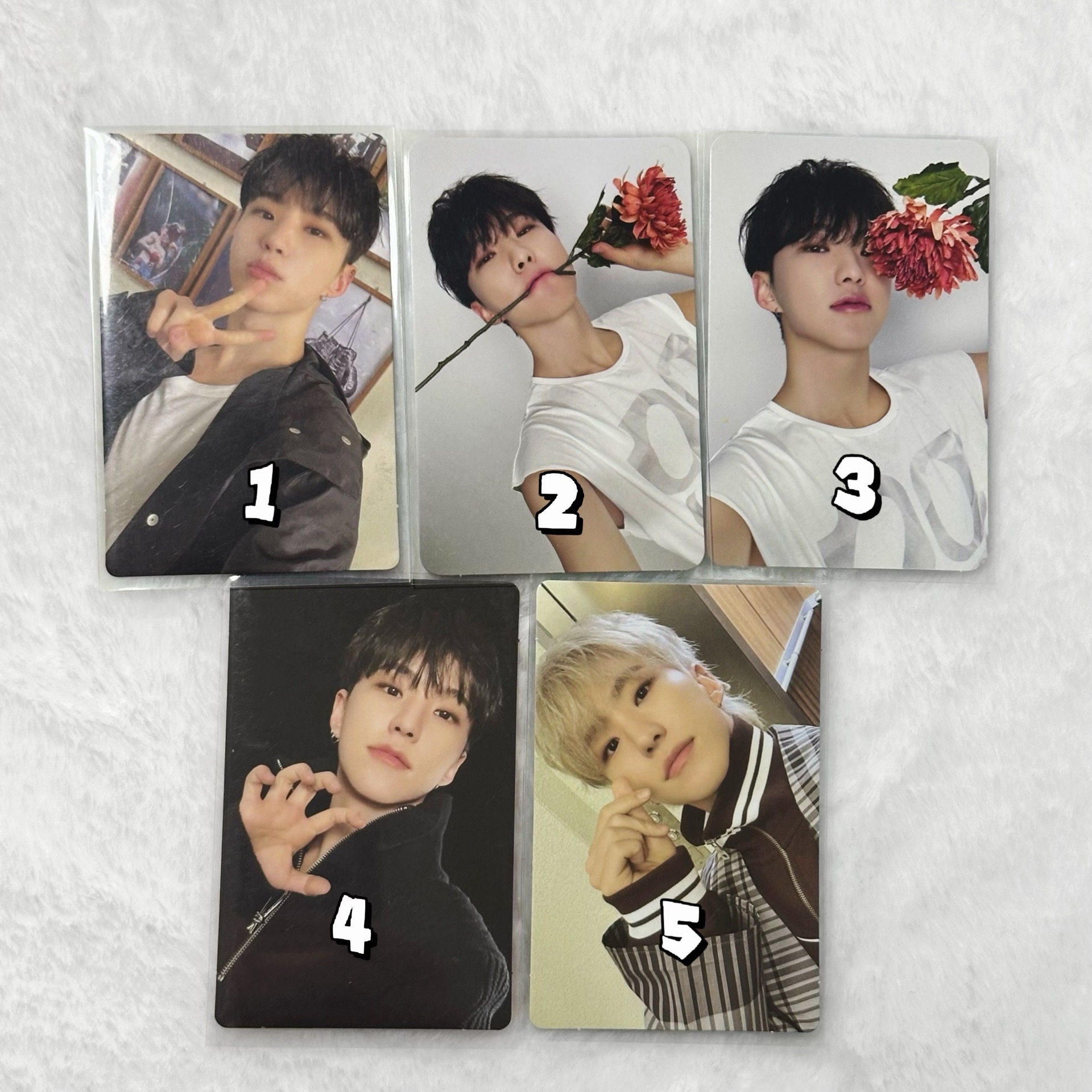 ⚡️專輯卡.隨機卡｜榮🐯