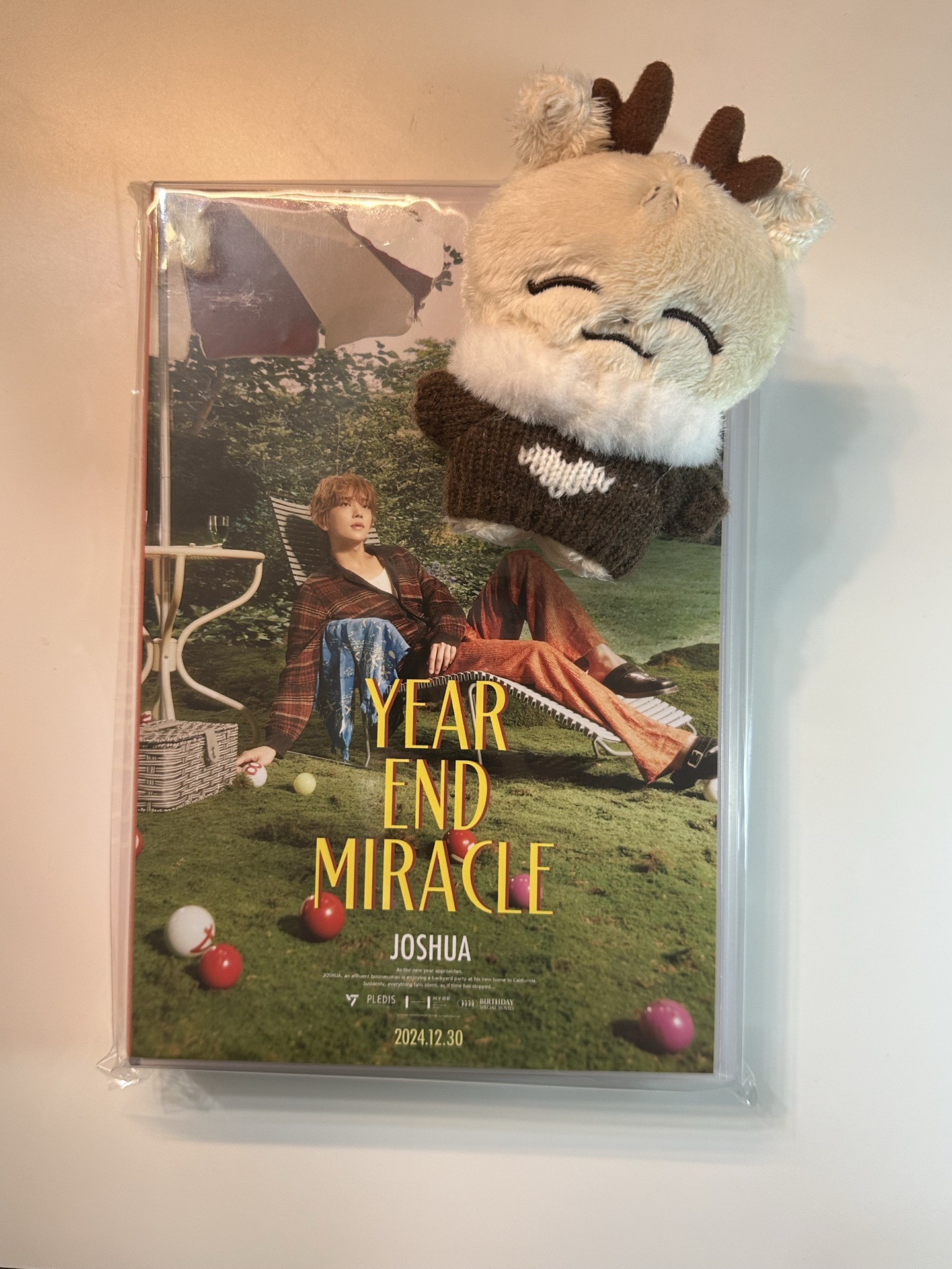 Seventeen Joshua 生日禮盒