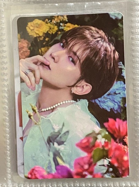 想要哪朵花都給你